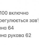 Сорочка з мереживом на рукавах INNA-588A560