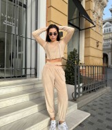 Велюровый прогулочный костюм DN-193A490