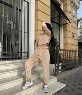 Велюровый прогулочный костюм DN-193A490