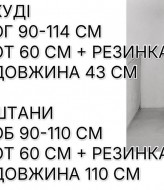 Велюровый костюм двойка ELZ-705A600