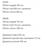 Костюм на флісі SAP-054A600