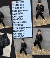 Велюровый костюм на мальчика NN-992A700