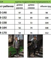 Зимова, тепла куртка EV-2324A700