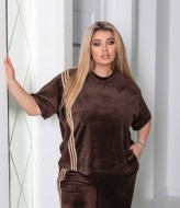 Велюровий костюм LZ-A1359A630