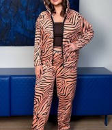 Чудовий костюм двійка з капюшоном AD-7925.1A360