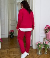 Трикотажный костюм двойка AD-7934.1A320