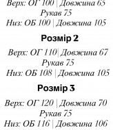 Спортивный костюм EFR-199A550