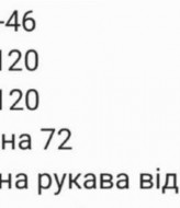Рубашка с вышивкой RAB-668A489