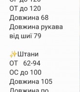 Атласний прогулянковий костюм RAB-729A1009