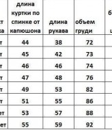 Зима костюм EV-226A900