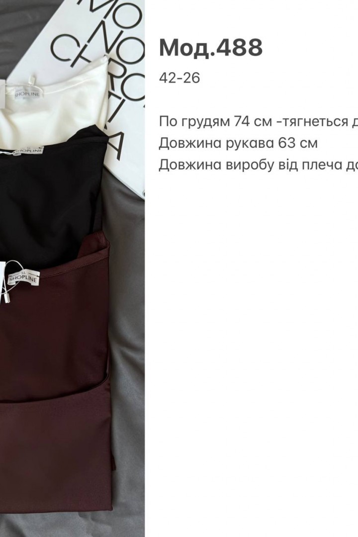 Жіночий лонгслів SP-488A290