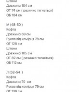 Чоловічий спортивний костюм ESS-313A700