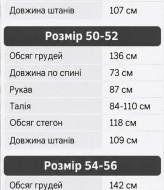 Флисовый спортивный костюм мужской LYR-0222A630