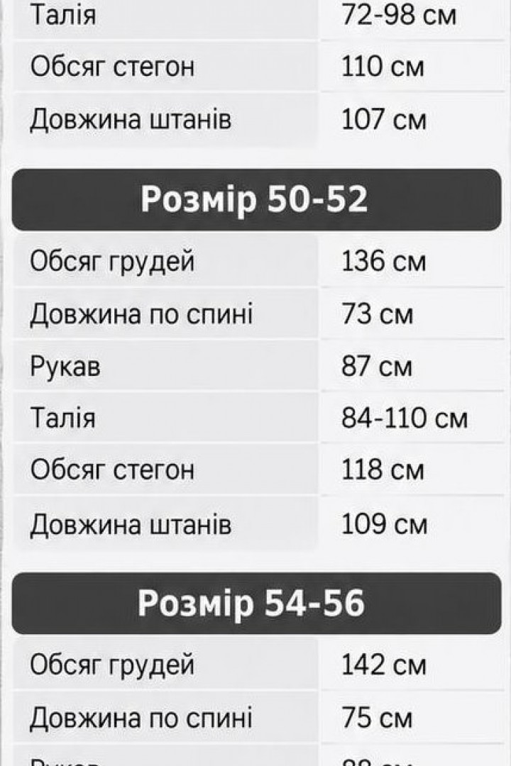 Флисовый спортивный костюм мужской LYR-0222A630