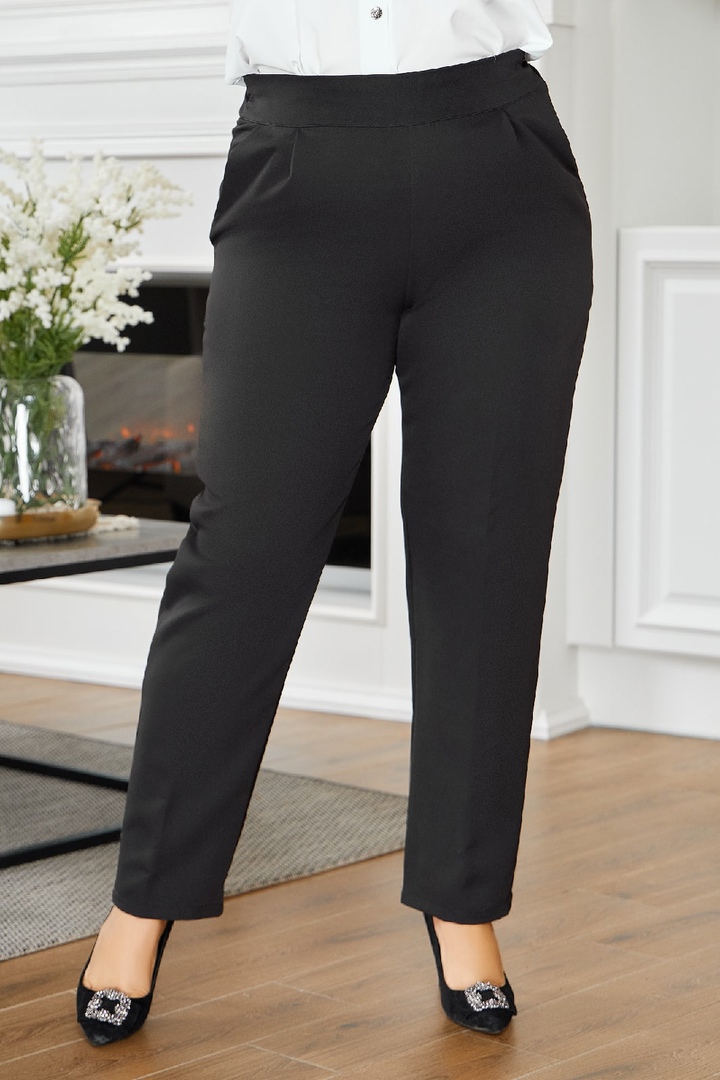 Строгі прямі брюки IV-022A400