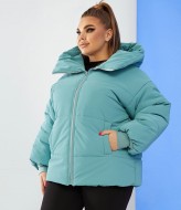 Куртка женская на зиму SD-033A1150