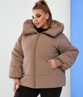 Куртка женская на зиму SD-033A1150