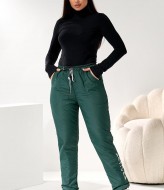 Жіночи штани з плащовкі DV-R4289A550