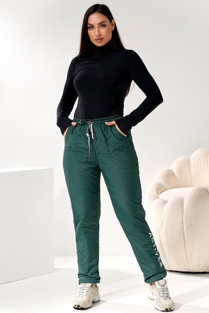 Жіночи штани з плащовкі DV-R4289A550