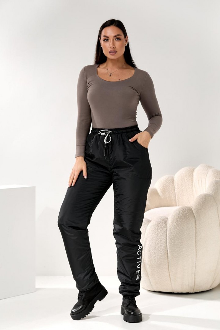 Жіночи штани з плащовкі DV-R4289A550