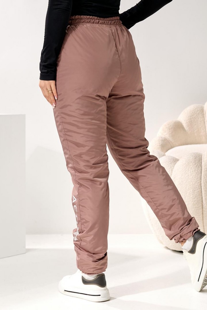 Жіночи штани з плащовкі DV-R4289A550