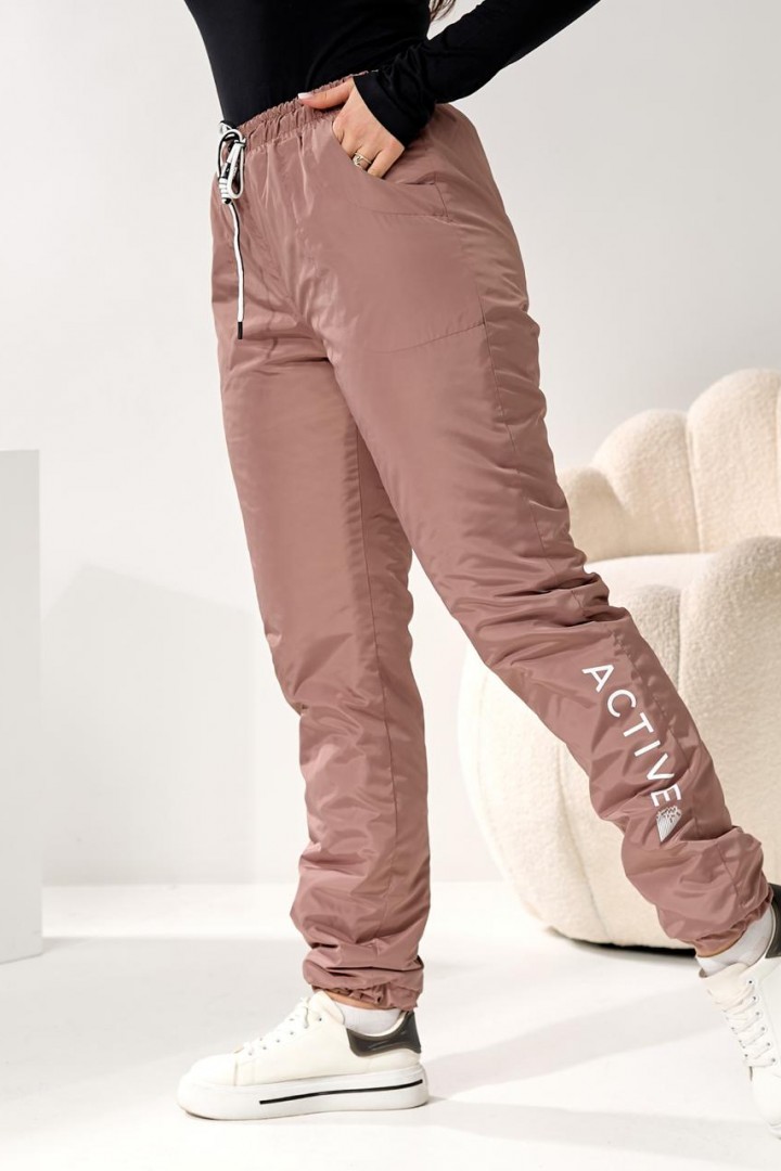 Жіночи штани з плащовкі DV-R4289A550