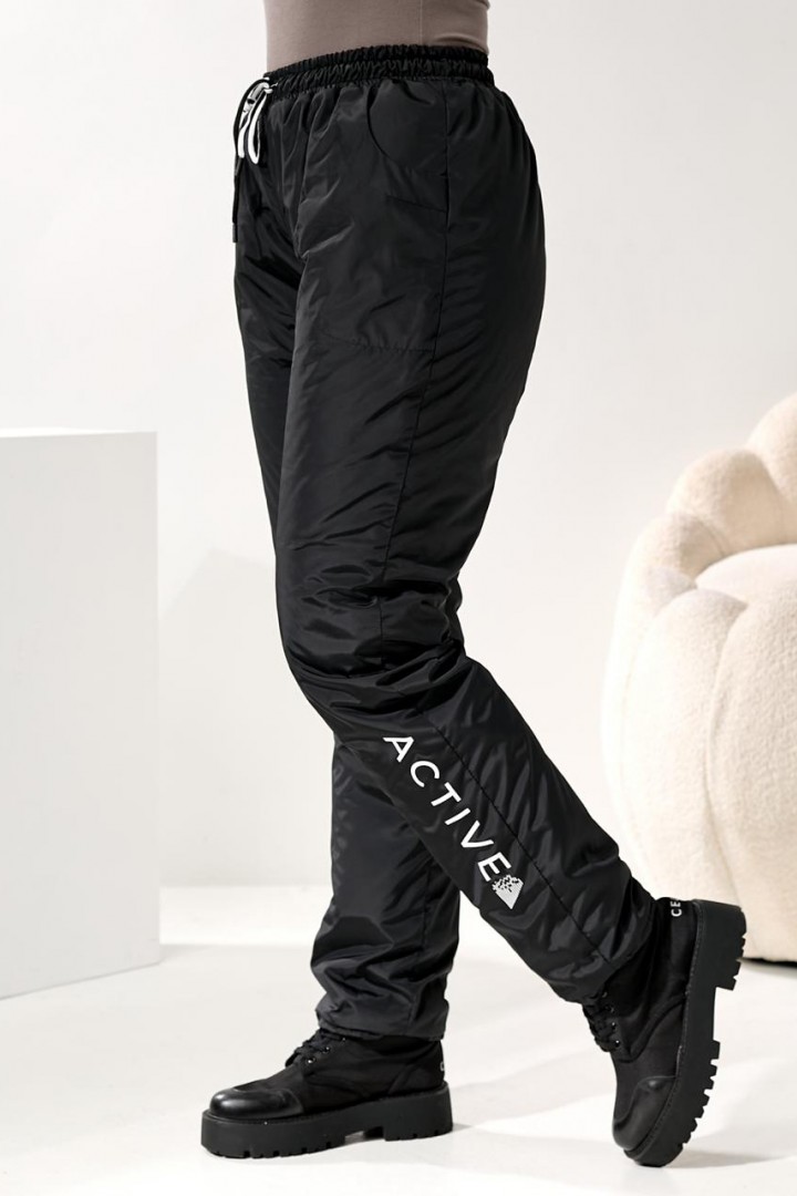 Жіночи штани з плащовкі DV-R4289A550