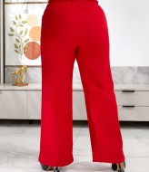 Брюки палаццо большых размеров AJ-17192A480