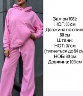 Костюм с худи SPL-7081A950