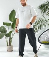 Брюки мужские спортивные ELT-1100A500