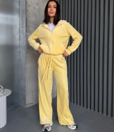 Спортивный велюровый костюм  JAV-820A750