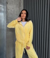 Спортивный велюровый костюм  JAV-820A750