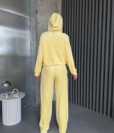 Спортивный велюровый костюм  JAV-820A750