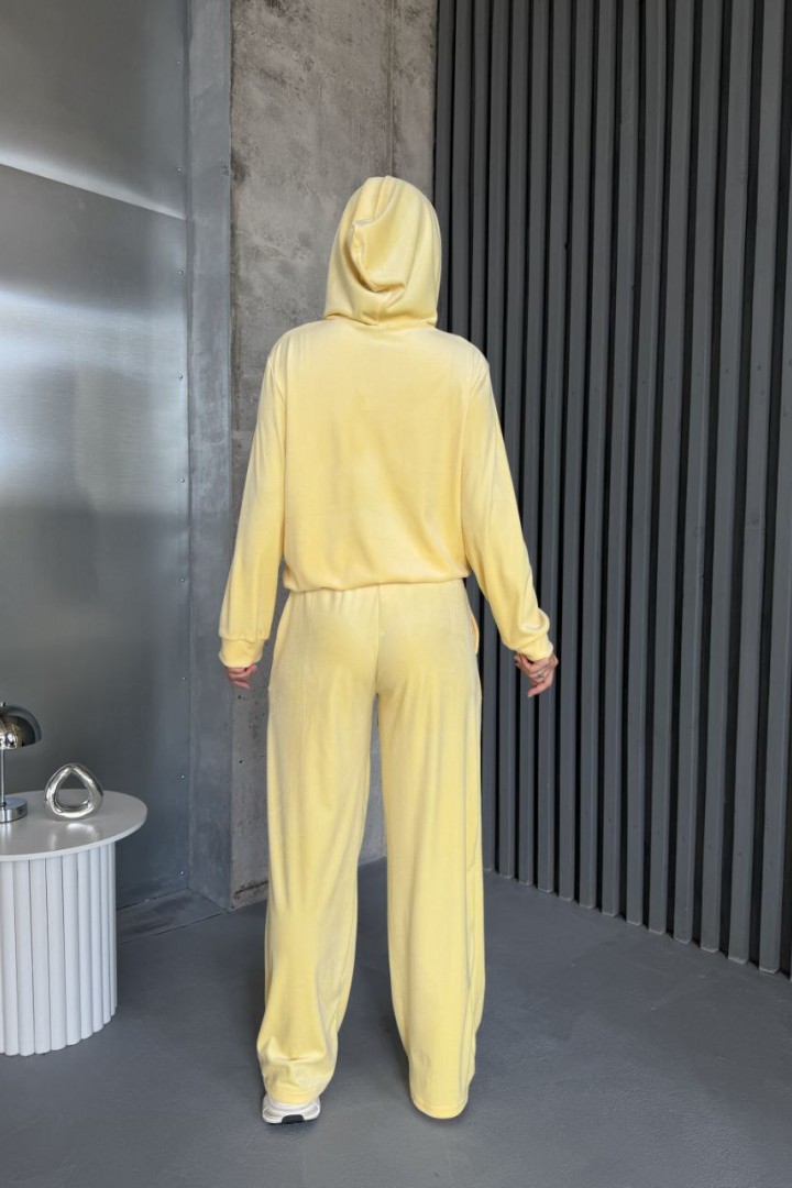 Спортивный велюровый костюм  JAV-820A750