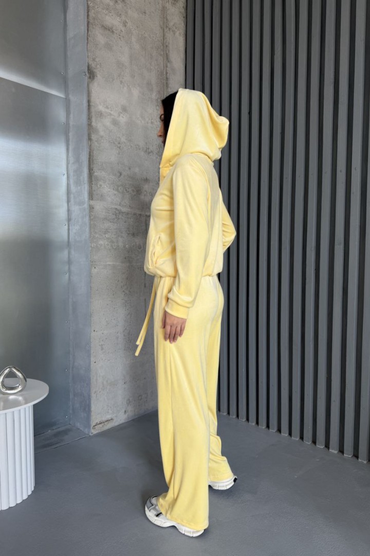 Спортивный велюровый костюм  JAV-820A750