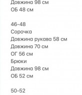 Лляний костюм сорочка і штани NK-7074A650