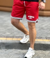 Стильные мужские шорты VM-10487A300