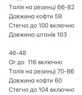 Спортивный костюм из плащевки INNA-593A780