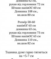 Спортивний костюм IND-2090A650B750