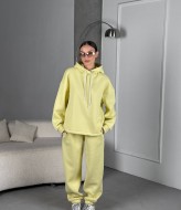 Костюм спортивный на флисе  LID-633A1300