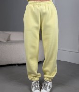 Костюм спортивный на флисе  LID-633A1300