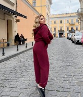 Спортивный костюм флисовый VL-990A750