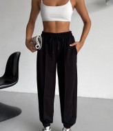 Утепленные базовые джоггеры DMP-A350A250