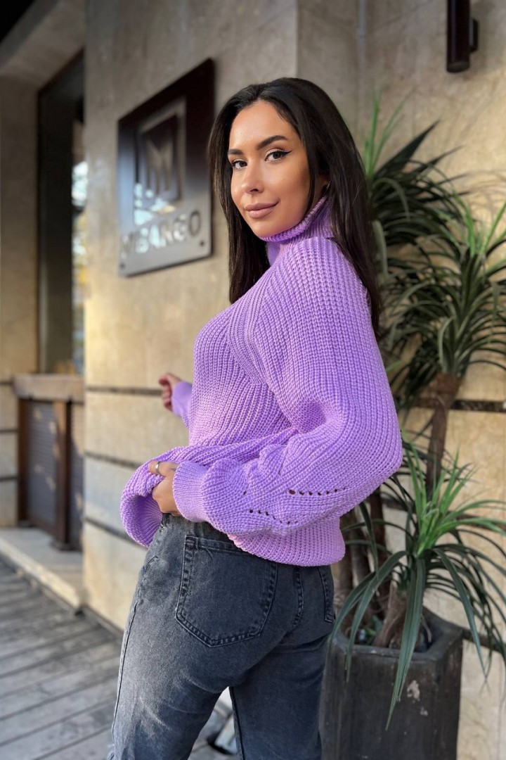 Свитер с горлом IND-5022A520