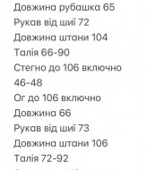 Льняной женский костюм  INNA-592A820
