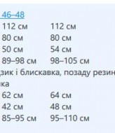 Костюм  брюки та жакет с баскою  EPZ-487A820