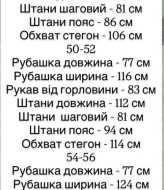 Мужской костюм из льна EVD-1006A699