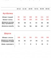 Велюровый костюм VTI-5313A400