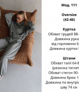 Спортивний костюм ATE-111A750