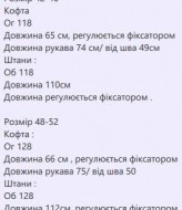 Стильный комфортный костюм JK-7078A1500
